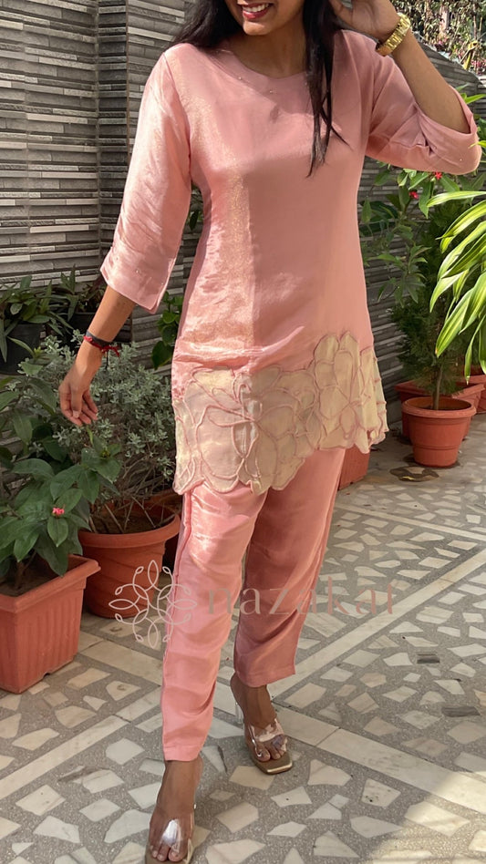 Appliqué Tissue Co - ord Set - nazakatjaipurnazakat_jaipur