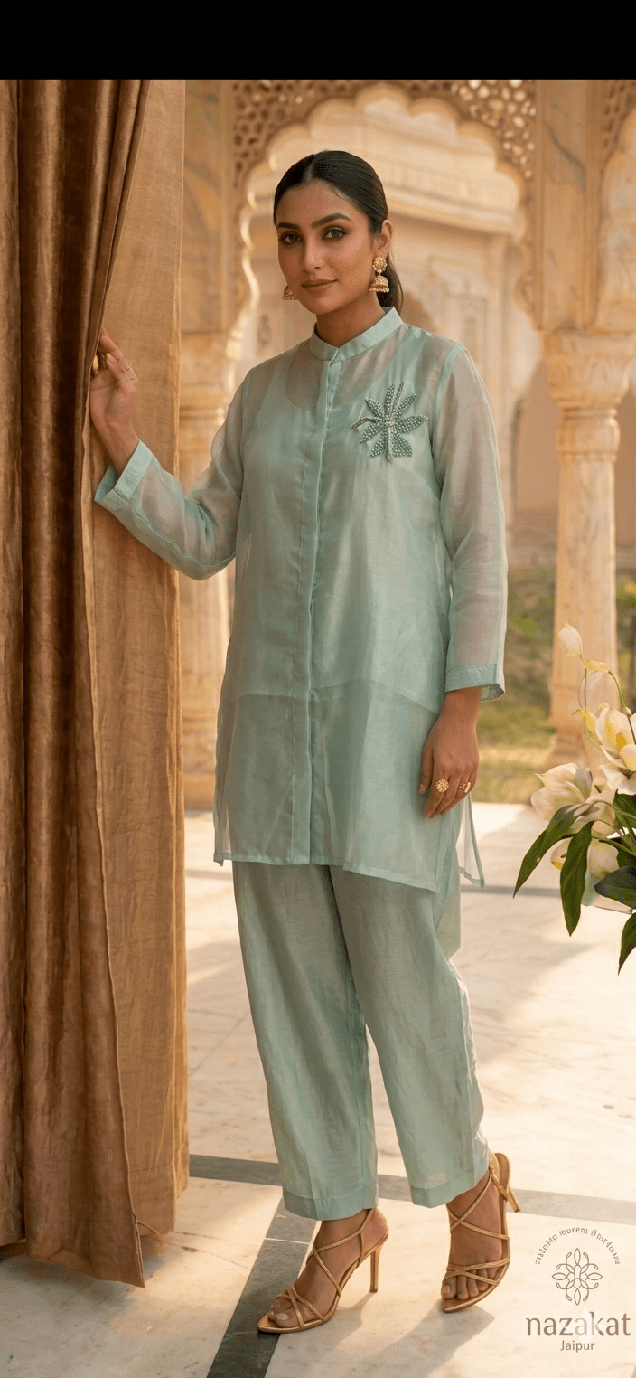 Organza Co - ord Set - nazakatjaipurnazakat_jaipur